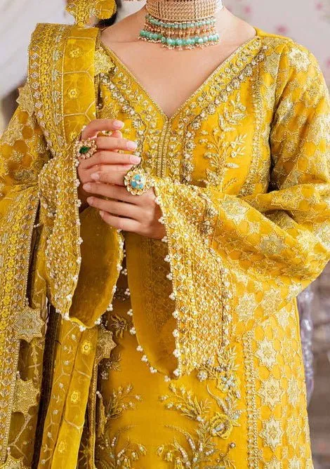 Akbar Aslam Meena Pakistani Organza Lehenga Suit
