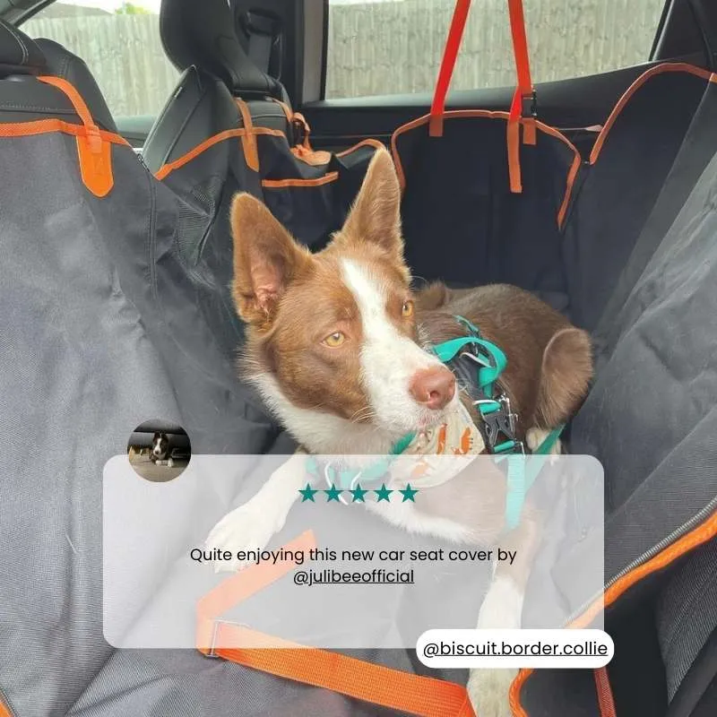 Anti-Anxiety & Car-Sickness Car Dog Car Seat Cover