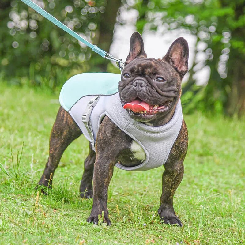 Breathable Vest For Sunstroke Prevention Water-soakable Dog Cooling Vest