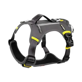 FIDA No Pull Harness