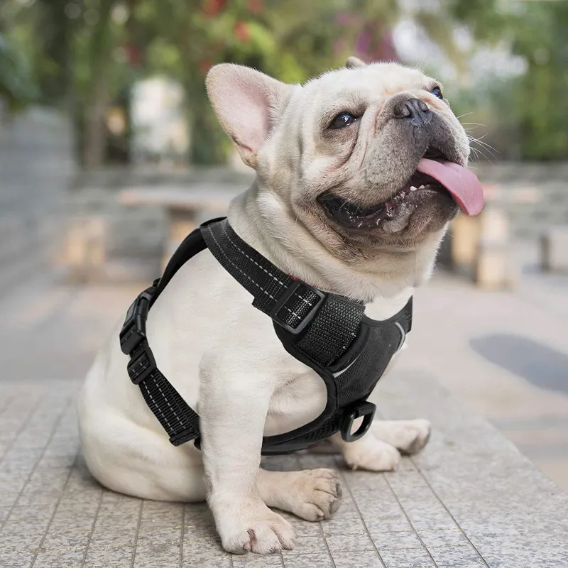 No-Pull Padded Adjustable Pet Harness with Handle, Tug And Choke Free