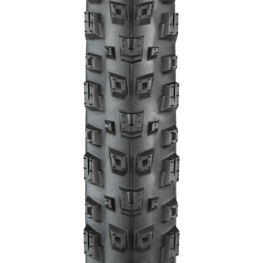 Warwick Mountain Bike Tire - 29 x 2.3, Tubeless, Black, Light and Supple, Fast Compound